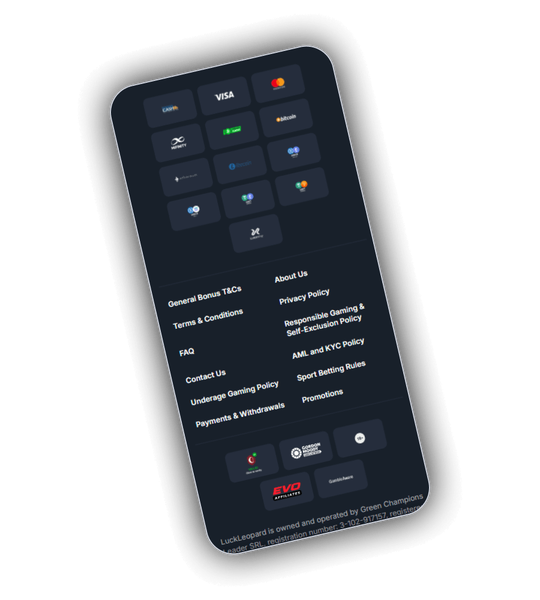Opzioni di pagamento di LuckLeopard Casino incluse carte, wallet e criptovalute